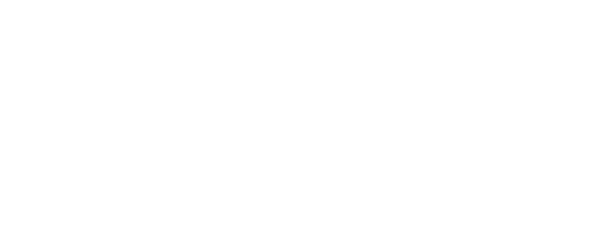 Fast Fly