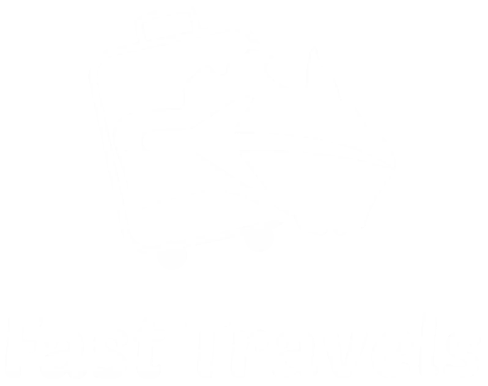 Fast Travels